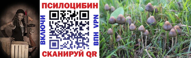 Псилоцибиновые грибы Psilocybine cubensis  где найти   Ковров 